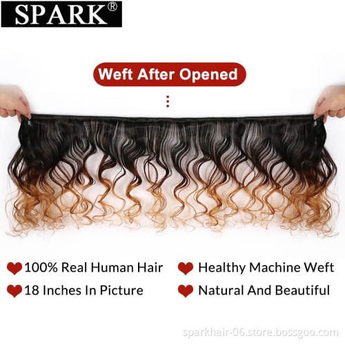 Ombre Peruvian Loose Wave Bundles with Closure 1B/4/30 Spark Remy Hair Extension Human Hair Bundles with Closure Medium Ratio